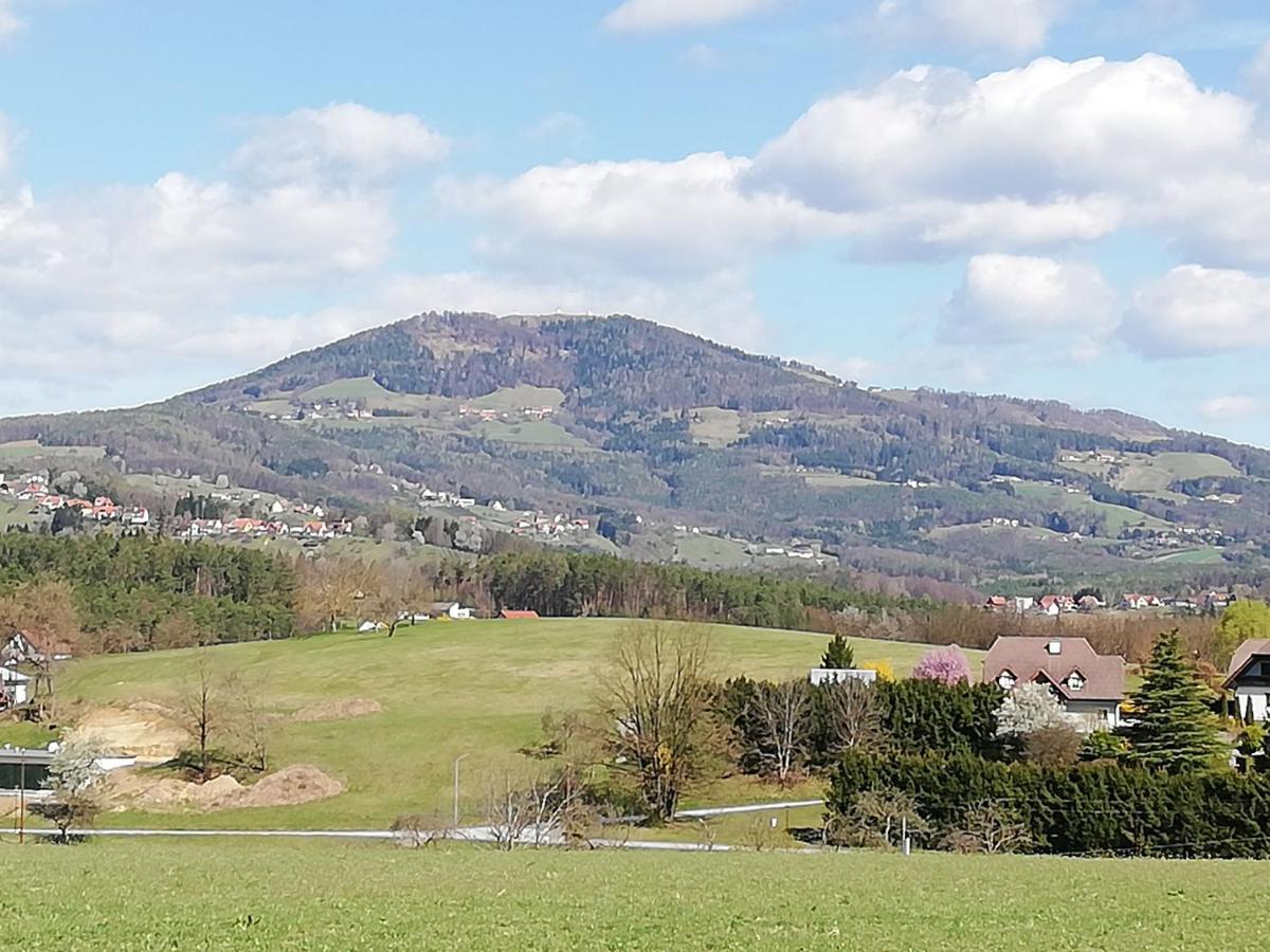 Ferienwohnung Wachmann Rohrbach am Kulm 객실 사진